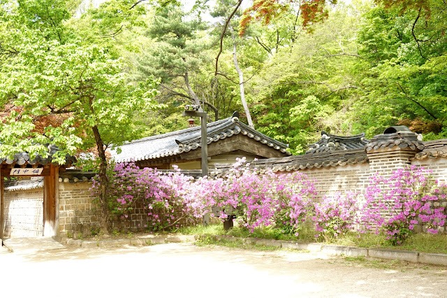 Giardino di changdeokgung